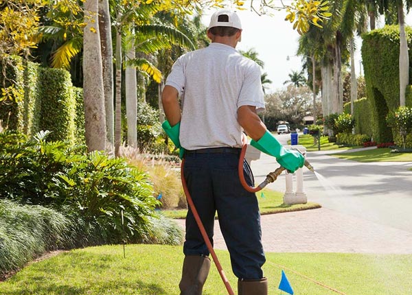 About Naperville IL Pest Control Pros